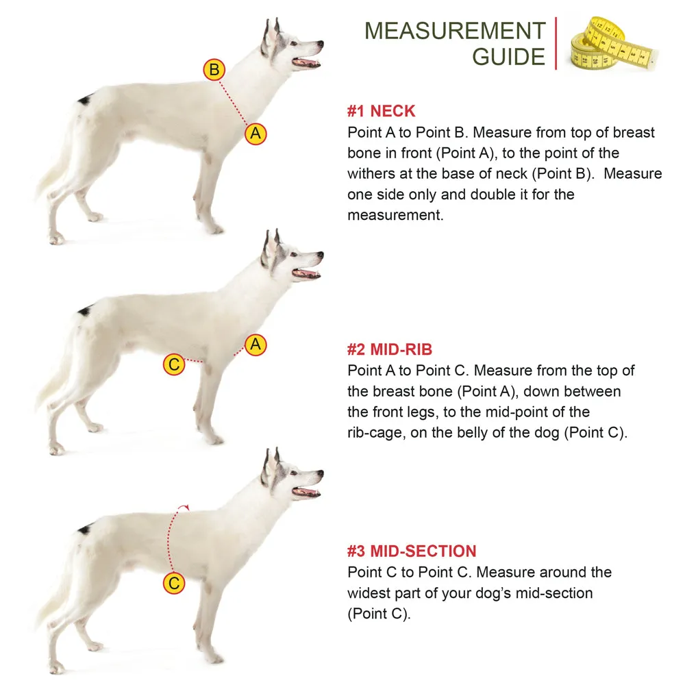 Flyball Harness 1" Webbing