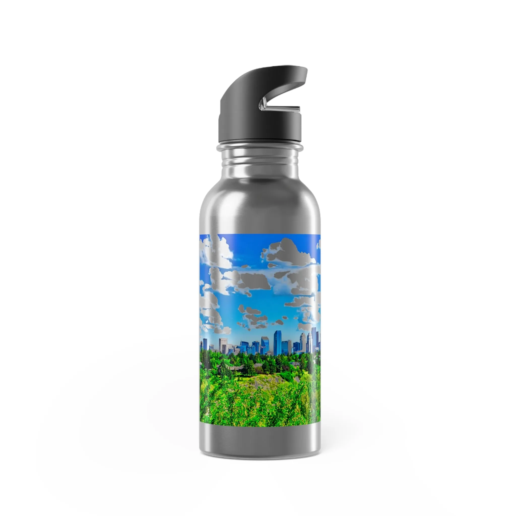 Stainless Steel Water Bottle With Straw, 20oz - River Park Downtown Calgary Skyline