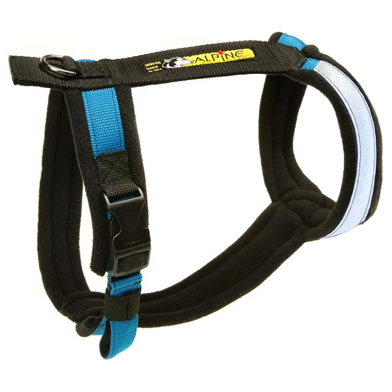 Urban Trail Custom Padded Harness. No-Pull, Backpack, Leash Options!